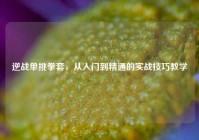 逆战单挑拳套，从入门到精通的实战技巧教学