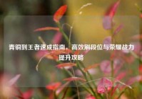 青铜到王者速成指南，高效刷段位与荣耀战力提升攻略