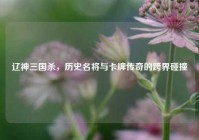 辽神三国杀，历史名将与卡牌传奇的跨界碰撞