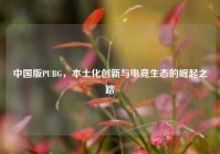 中国版PUBG，本土化创新与电竞生态的崛起之路