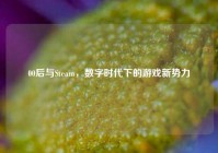 00后与Steam，数字时代下的游戏新势力