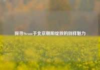 探寻Steam于北京朝阳绽放的别样魅力