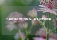 王者荣耀苏烈价格解析，多少点卷可拥有