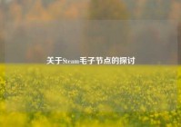 关于Steam毛子节点的探讨