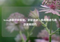 Steam点数终极指南，获取途径、核心用途与高效使用技巧