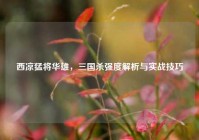 西凉猛将华雄，三国杀强度解析与实战技巧