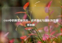 CSGO中的赖雪崩效应，战术僵化与团队协作困境剖析