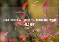 PUBG白西服CDK，获取途径、使用指南与市场行情全解析