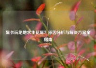 显卡玩绝地求生花屏？原因分析与解决方案全指南