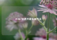 PUBG 快速开镜实现 *** 