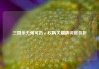 三国杀无懈可击，攻防关键牌深度剖析