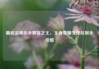 脆皮法师反杀刺客之王，王者荣耀生存反制全攻略
