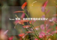 Steam 等级，游戏世界里的成长印记