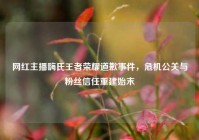 网红主播嗨氏王者荣耀道歉事件，危机公关与粉丝信任重建始末