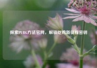 探索PUBG *** 官网，解锁吃鸡新征程密钥