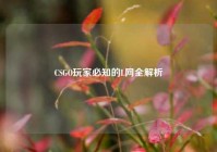 CSGO玩家必知的L网全解析