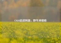 CSGO近战利器，野牛冲锋枪