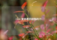 CSGO 里转着切超酷的刀