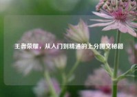 王者荣耀，从入门到精通的上分图文秘籍