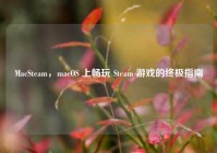 MacSteam，macOS 上畅玩 Steam 游戏的终极指南