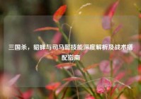 三国杀，貂蝉与司马懿技能深度解析及战术搭配指南