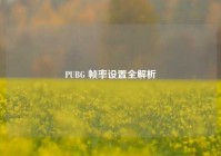 PUBG 帧率设置全解析
