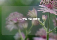 Steam世界寻冒险伙伴
