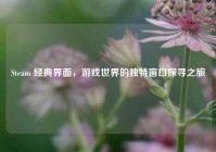 Steam 经典界面，游戏世界的独特窗口探寻之旅