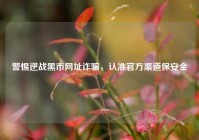 警惕逆战黑市网址诈骗，认准官方渠道保安全