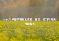 PUBG牛仔箱子获取全攻略，途径、技巧与常见问题解答