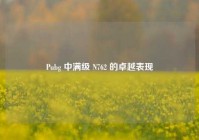 Pubg 中满级 N762 的卓越表现