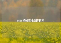 PUBG枪械精准端详指南