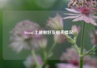 Steam 上被删好友相关情况