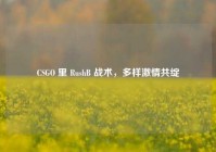 CSGO 里 RushB 战术，多样 *** 共绽