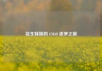 花生妹妹的 CSGO 逐梦之旅