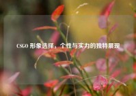 CSGO 形象选择，个性与实力的独特展现