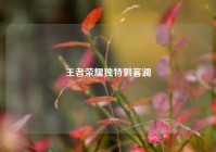 王者荣耀独特刺客澜