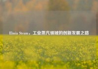 Elmia Steam，工业蒸汽领域的创新发展之路