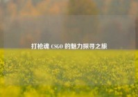 打枪魂 CSGO 的魅力探寻之旅