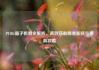 PUBG箱子机制全解析，高效获取稀有皮肤与道具攻略