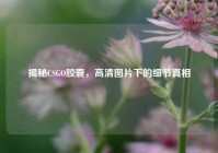 揭秘CSGO胶囊，高清图片下的细节真相