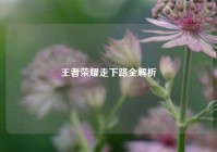 王者荣耀走下路全解析