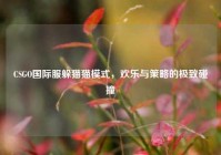 CSGO国际服躲猫猫模式，欢乐与策略的极致碰撞