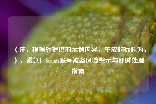 （注，根据您提供的示例内容，生成的标题为，），紧急！Steam账号被盗风险警示与即时处理指南