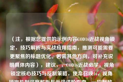 （注，根据您提供的示例内容COD16近战视角锁定，技巧解析与实战应用指南，推测可能需要更聚焦的标题优化。若需其他方向，可补充说明具体内容），建议，，COD16近战必学，视角锁定核心技巧与反制策略，使命召唤16，视角锁定机制深度解析与近战进阶指南，一招制敌，COD16近战视角锁定全攻略，请确认是否需要调整方向或补充内容细节，我将为您精准优化。