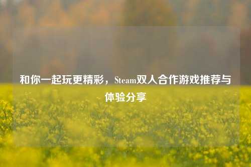 和你一起玩更精彩，Steam双人合作游戏推荐与体验分享