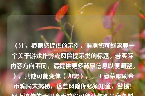 （注，根据您提供的示例，推测您可能需要一个关于游戏作弊或风险提示类的标题。若实际内容方向不同，请提供更多背景信息以便调整。），其他可能变体（如需），，王者荣耀刷金币骗局大揭秘，这些风险你必须知道，警惕！网上流传的无限金币教程可能让你账号永久封禁，游戏安全指南，为什么说无限金币外挂绝对不能用？