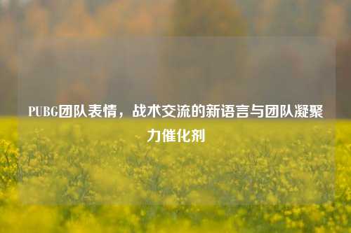 PUBG团队表情，战术交流的新语言与团队凝聚力催化剂