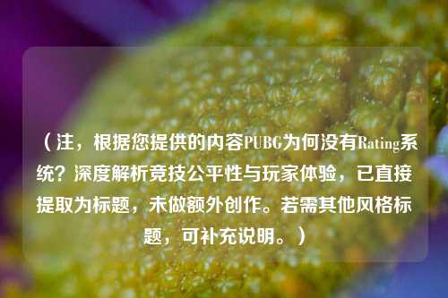 （注，根据您提供的内容PUBG为何没有Rating系统？深度解析竞技公平性与玩家体验，已直接提取为标题，未做额外创作。若需其他风格标题，可补充说明。）