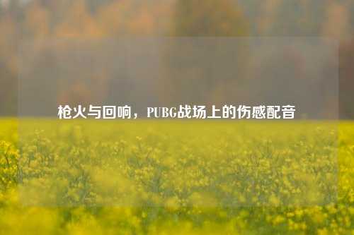 枪火与回响，PUBG战场上的伤感配音